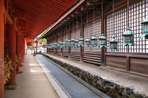XT504459