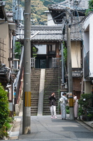 XT504799