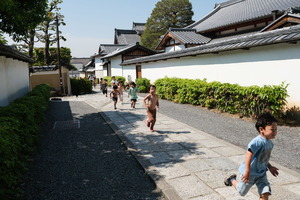 XT504979