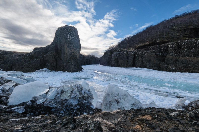 XT511790.jpg