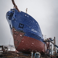 XT512530