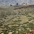 2006-08-06dsc_0001.jpg