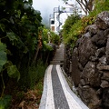 dscf3125.jpg