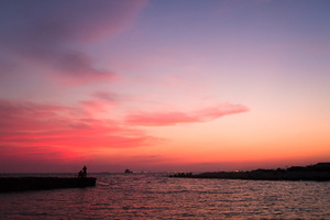 dsc26929