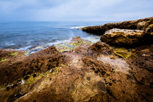 dscf4290