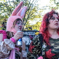 DSC40146