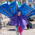 DSC49687