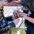 DSC49693