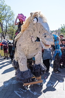 DSC49740