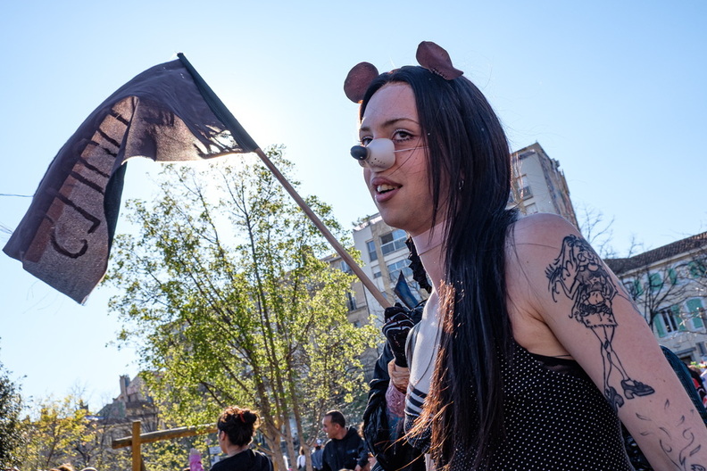 DSC49977.jpg