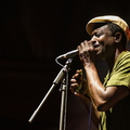 Errol Linton
