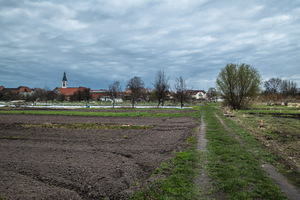 dsc31982
