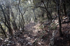 dsc45781