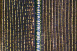 dji 0567-modifier