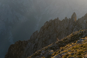 XT515173