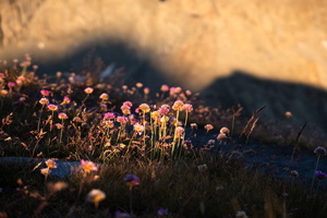 Bivouac à la Pointe Joanne (ou Monte Losetta)