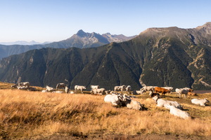 Bivouac à la Pointe Joanne (ou Monte Losetta)