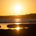 XT519870.jpg