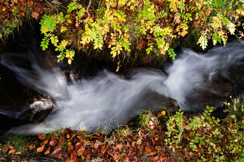 XT520644.jpg