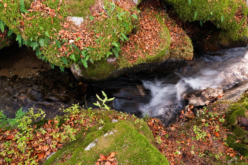 XT520653.jpg