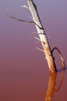 2007-10-27dsc 0688
