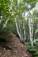 Cirque d'Omblèze