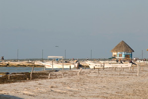 dsc 2191