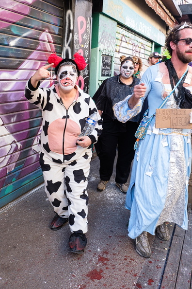 DSC49836.jpg